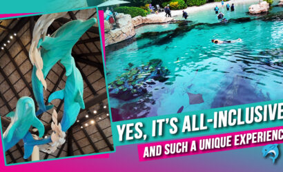 Discovery Cove Orlando all-inclusive day pass dolphin swim